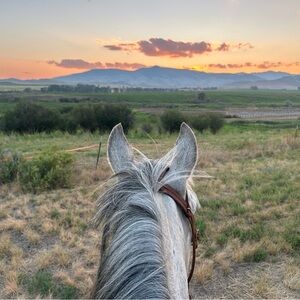 Join my Live Show! Great deals and a large variety of cute clothes!